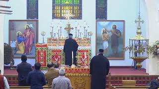 Noon Prayer | 02/24/2026 (Tuesday)