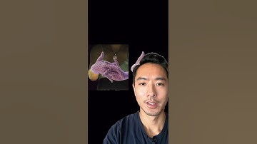 Amazing hand tracking! 🤯 #robotics #computervision