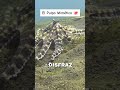 El Pulpo Mimético 🐙 El Animal más Fantástico del Oceano