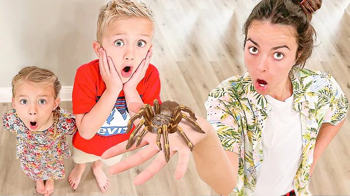 Exotic Pet Detective - WANTS TO TAKE OUR PETS???