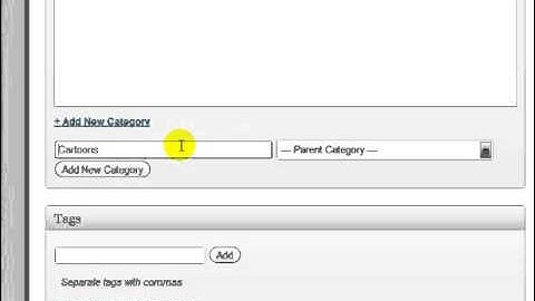Wordpress Tutorial | SEO Categories