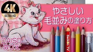 【やさしい毛並みの塗り方 4K高画質版】塗り絵・イラスト初心者向き【100均ダイソー ぬりえ 色鉛筆 メイキング 音声解説25 ・ディズニー・マリーちゃん】