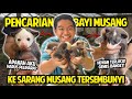 PENCARIAN BAYI MUSANG PALING LUCU KE SARANG MUSANG TERSEMBUNYI! GEMES BANGET TAPI TERNYATA MAHAL!