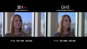 Panasonic S1H vs GH5 / 4K Dynamic Range Test / Landscape Background Interview Setting