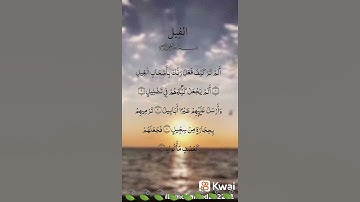 تلاوة قرآن سورة الفيل بصوت جميل ✨