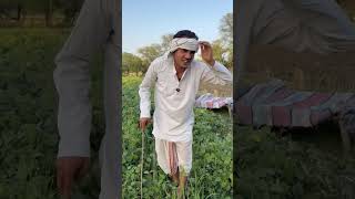 उडत चिरज्जा परखज्जा #comedy #फन #comedy #funny