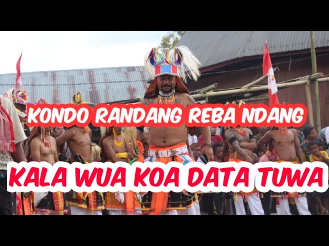 LAGU BARU SURAT EDAR// Kondo Randang Reba Ndang PACAR //Kala Wua Koa Data Tuwa class=