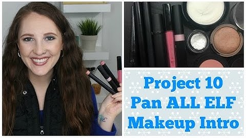 Project 10 Pan Intro ALL ELF MAKEUP