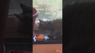 Sub All Most To. A Hundred Subs