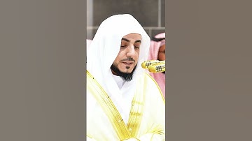 سورة الضحى | الشيخ د الوليد الشمسان