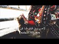 أجمل حالات واتس اب #وليت قلبي شطر قلبك وحبيت