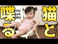 椅子でくつろぎながらお喋りする赤ちゃん娘と猫