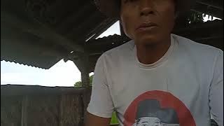 Tembang sinom yg berisikan patuah dn sbgi iringan snandung penomena alam.