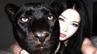 🐈⬛ BLACK PANTHER ─ Magnetic Feline Beauty, Predator Gaze & Hypnotic Presence screenshot 3
