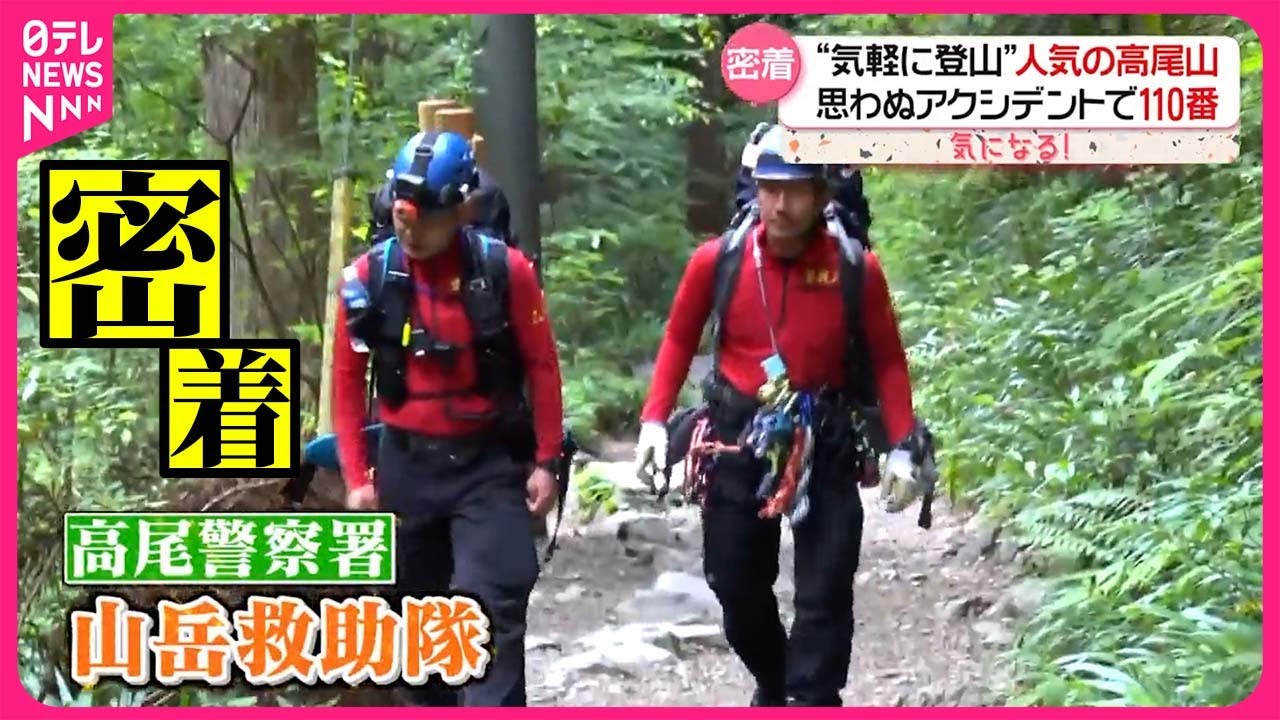 夢は山岳救助隊　イタチミノー Amazon.co.jp: 南アルプス山岳救助隊K-9 遥かなる蒼峰 (徳間文庫