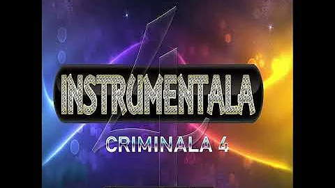 Instrumentala Criminala 4