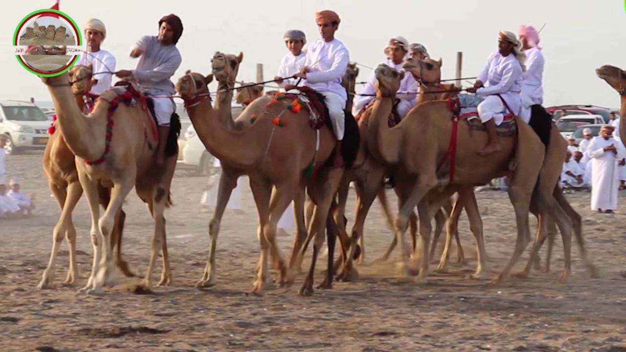 مهرجان شرس الهدادبه الشعبي الأول