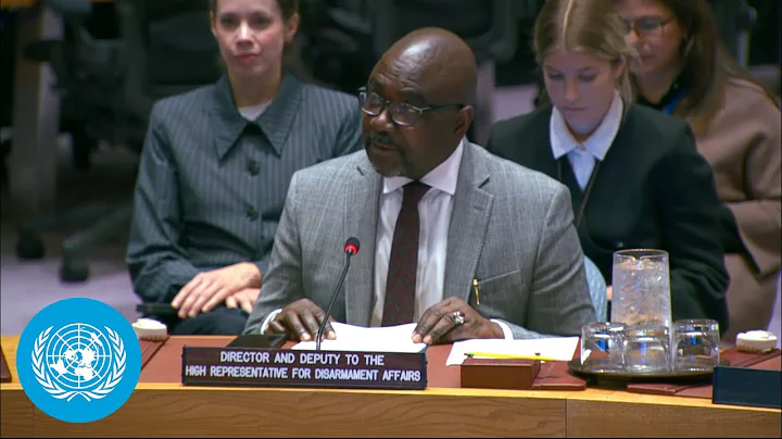 Small Arms: 48,000 conflict-related civilian deaths - Security Council Briefing | United Nations