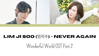 Lim Ji Soo (임지수)_Never Again [원더풀 월드 Wonderful World OST Part 2]