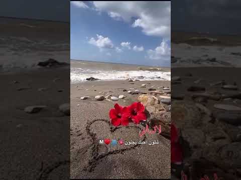 لا تسالني شلون احبك بجنووووون 