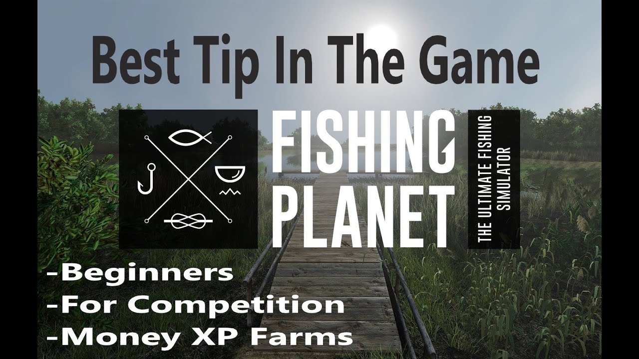 Fishing Best Tip In The Game For Beginners, Competitions, Xp