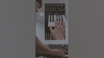 MOOG SUB 37 BASS WORSHIP PATCHES - BRYCE VAUGHN