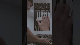 MOOG SUB 37 BASS WORSHIP PATCHES - BRYCE VAUGHN