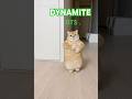 #Dynamite#bts#dance