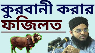 কোরবানির ফজিলত | কোরবানির ফজিলত ও গুরুত্ব | কুরবানীর ওয়াজ | qurbani fazilat | কোরবানির বয়ান screenshot 3