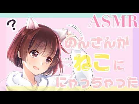 【ASMR】のんさんが猫ににゃっちゃった?! 【シチュボ】[If you become a cat....]