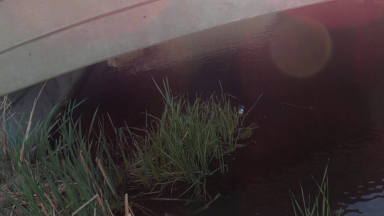 Fishing Lake Butte Des Morts with GoPro 8 Black YouTube