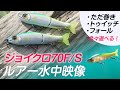 【ジョイクロ70F/S】一口サイズのジョイクロのアクションを水中映像で見てみた！
