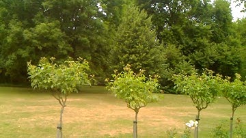 Acer Stream review: video sample