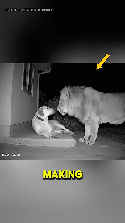 This viral video is shocking people on the internet 🤯~#shorts