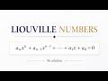 Liouville Numbers Explained | The First Proven Transcendental Numbers