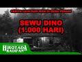 SEWU DINO 1000 HARI