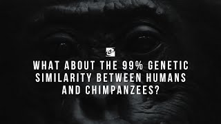 What about the 99% Genetic Similarity between Humans and Chimpanzees?
