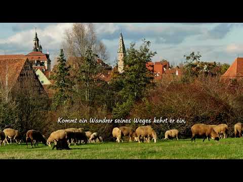 Eine Herde weißer Schafe - zum Mitsingen