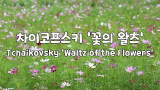 [일간클래식]  차이코프스키 '꽃의 왈츠' (1시간듣기) ♬ Tchaikovsky  ' Waltz of the Flowers' (1Hour Repeat) by Emotional life 3,711 views 2 years ago 59 minutes
