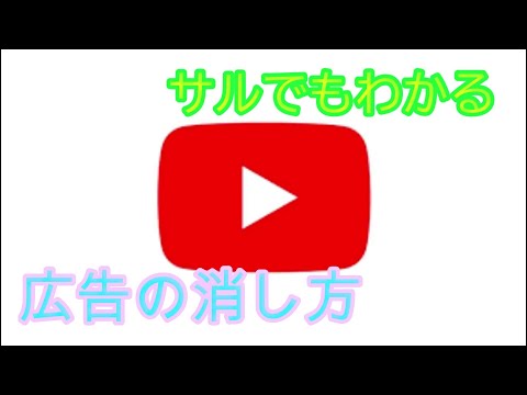 サルでもわかる Youtubeから広告を消す方法 