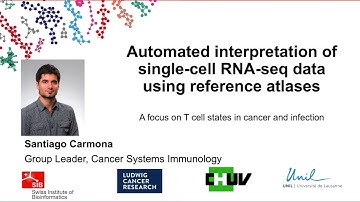 Automated interpretation of single-cell RNA-seq data using reference atlases
