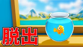 さかなに変身して脱出するコロコロアスレチック【I am Fish】