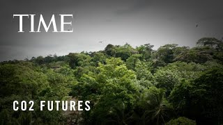 Here's How Carbon Markets Work