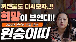 2022년 임인년 삼재중 마지막 주인공 !!원숭이띠 신년운세 !! 임신생, 경신생, 무신생, 병신생, 갑신생…