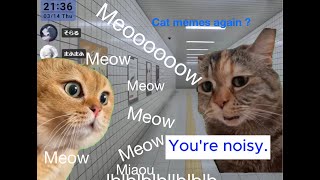 Mafu performs cat memes while Soraru plays the horror game they're supposed to play together Eng sub