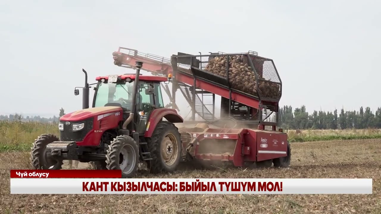 КАНТ КЫЗЫЛЧАСЫ: БЫЙЫЛ ТҮШҮМ МОЛ!