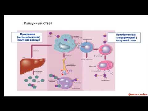 Мониторинг и патогенез осложнений Ковид Ершов А.В.