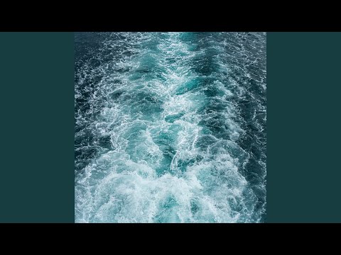 909 Reasons to Dive