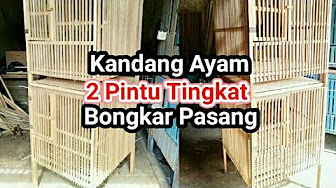 Kandang Ayam Tingkat Youtube