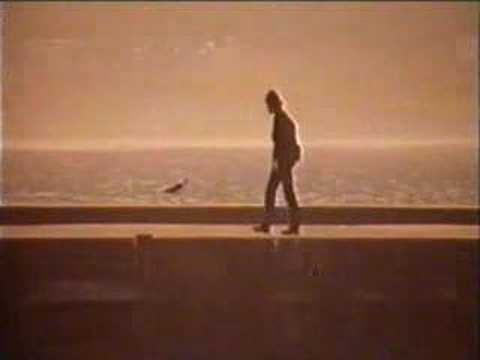 تامر عاشور بينو ضاع فيديو كليب من فيلم مافيا